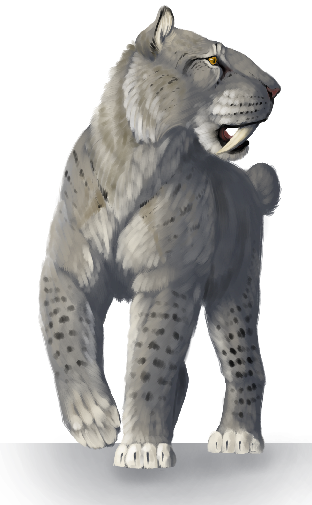 Xenosmilus: The “Cookie-Cutter” Cat (image credits: wikimedia)