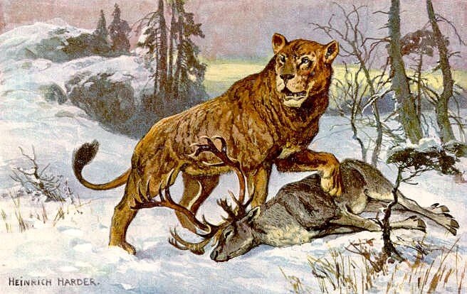 Panthera shawi: The African Megalion (image credits: wikimedia)
