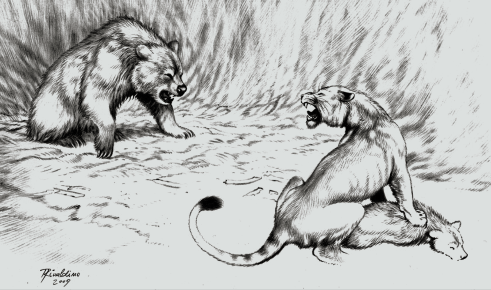 Climate Change and Cat Survival (image credits: wikimedia)