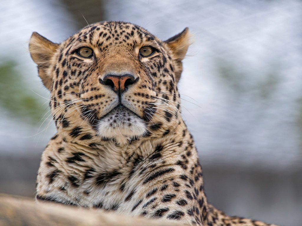 The Ripple Effect (image credits: flickr)