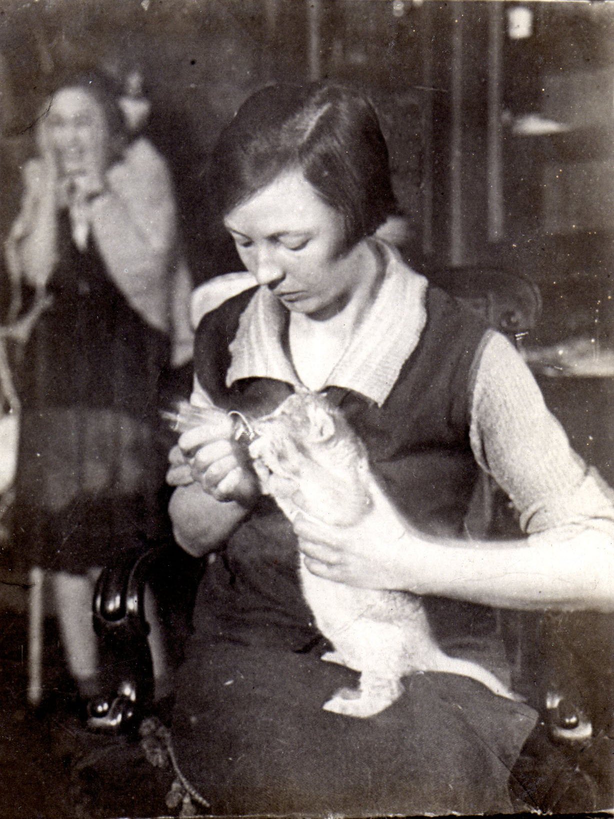 Bottle-Feeding Under African Skies (image credits: wikimedia)