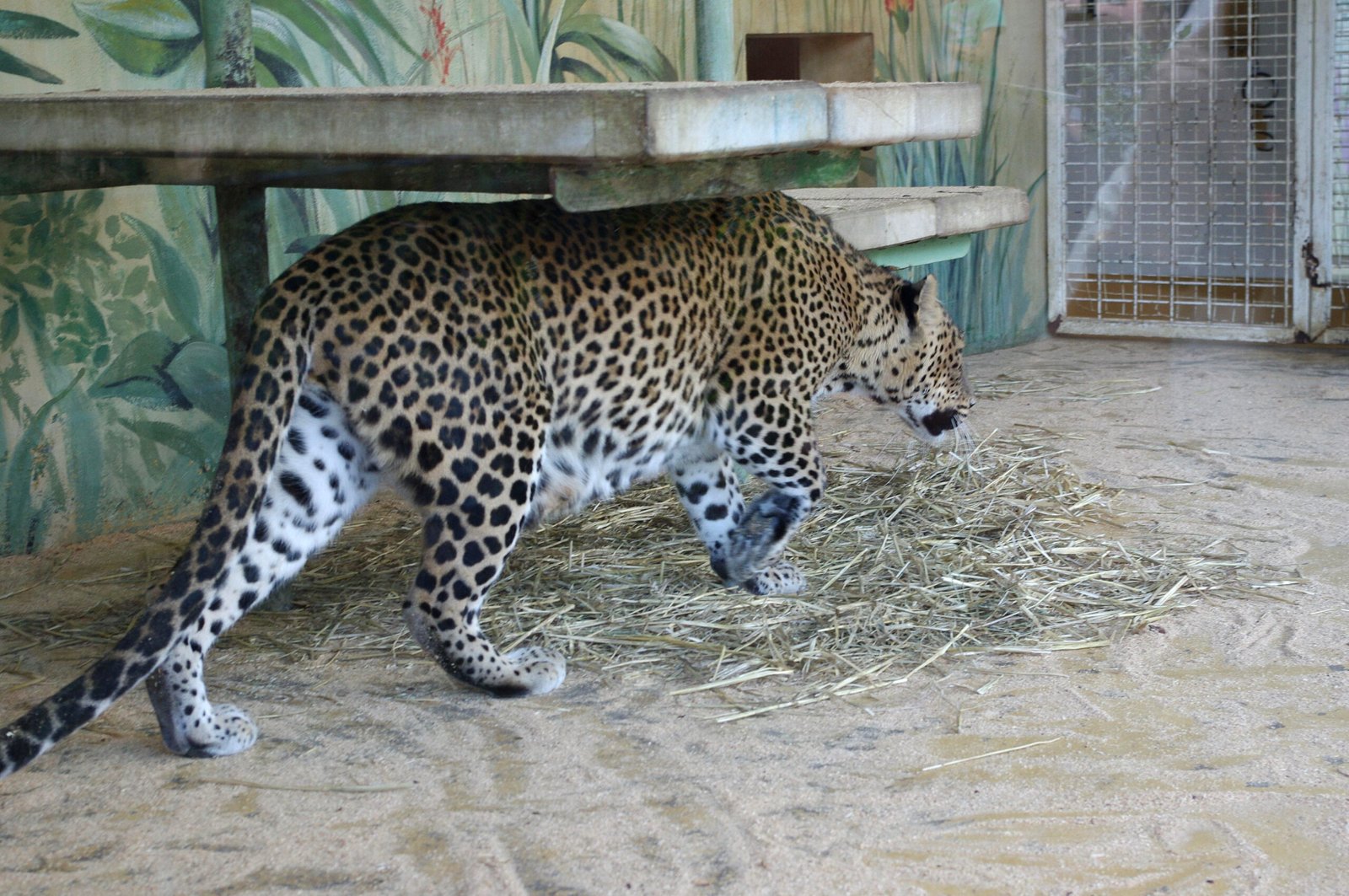 Myths and Legends (image credits: wikimedia)