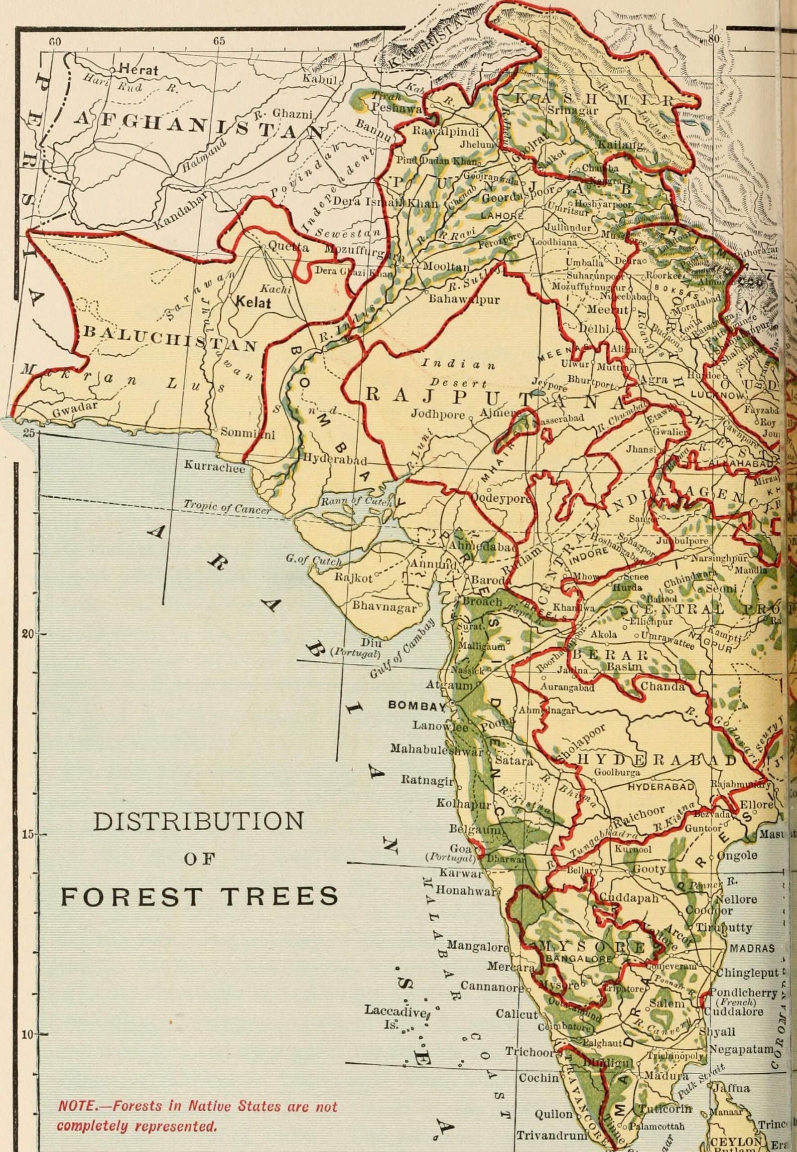 Conclusion (image credits: wikimedia)