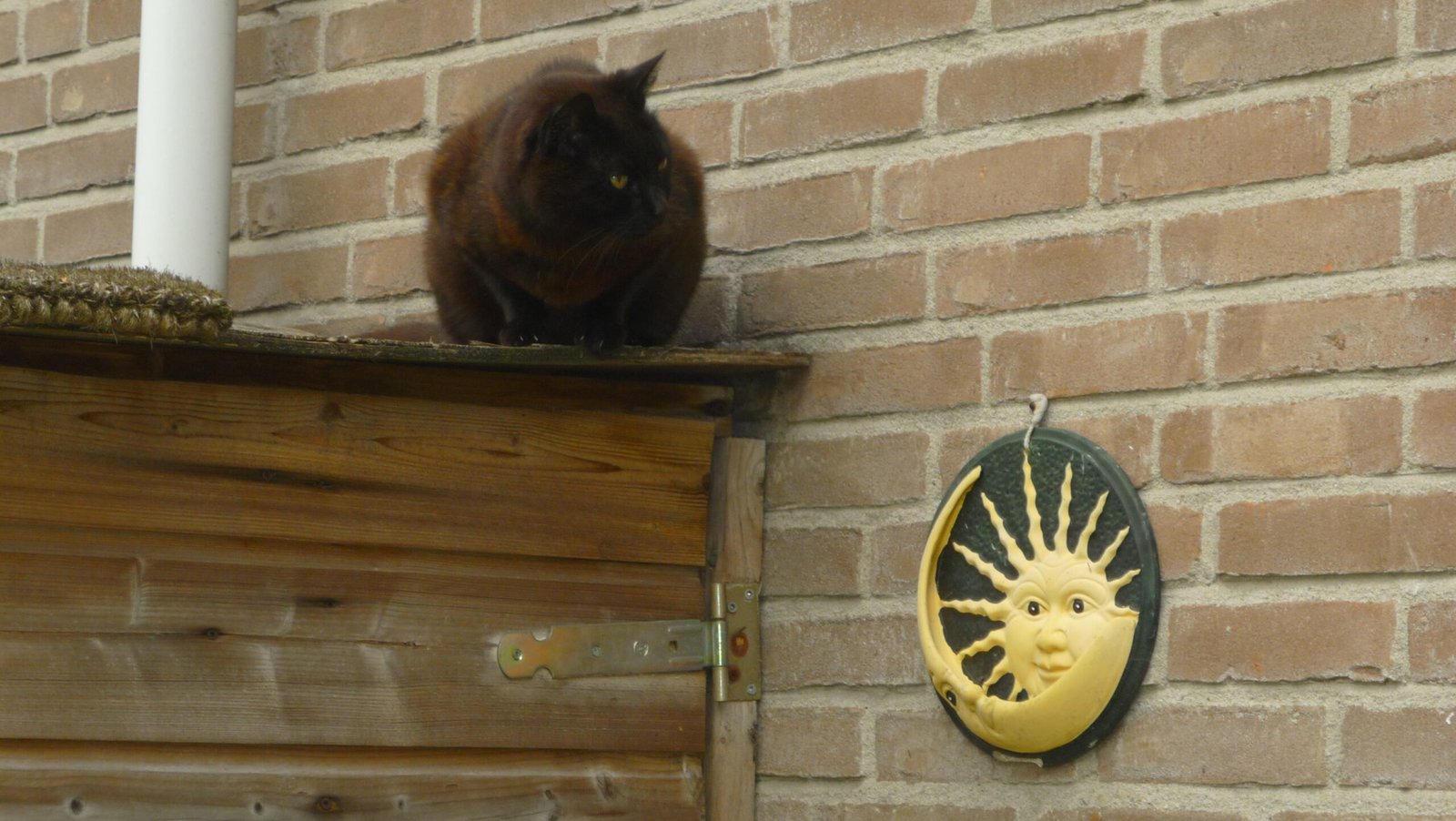 Charming Companions for Life (image credits: wikimedia)