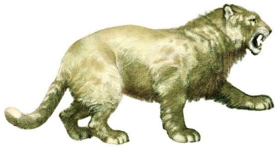 The Cave Lion Conundrum (image credits: wikimedia)