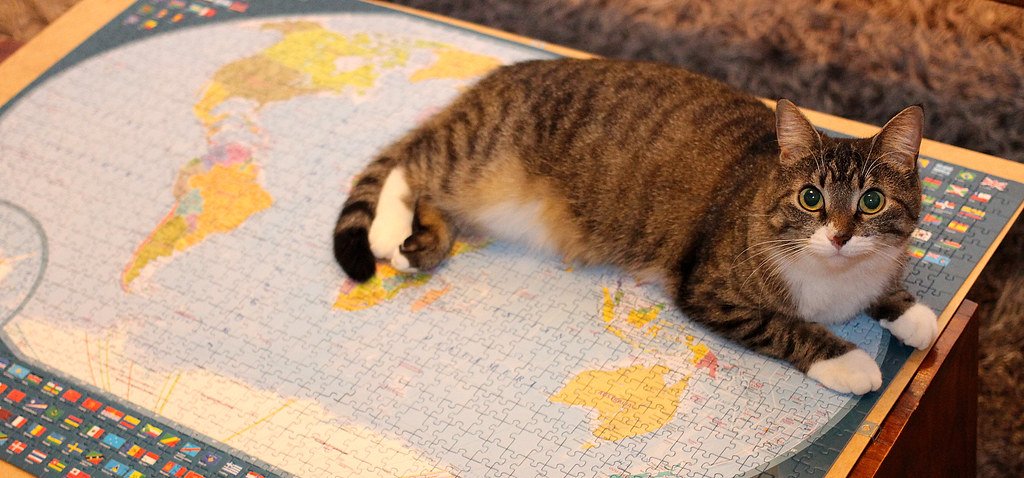 Problem-Solving Opportunities (image credits: flickr)