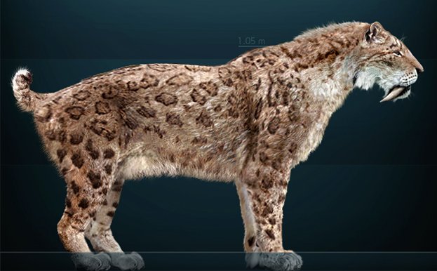 Pogonodon: The Mustachioed Mystery Cat (image credits: wikimedia)