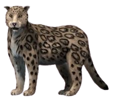 The Tree-Climbing Specialist: Dinofelis (image credits: wikimedia)
