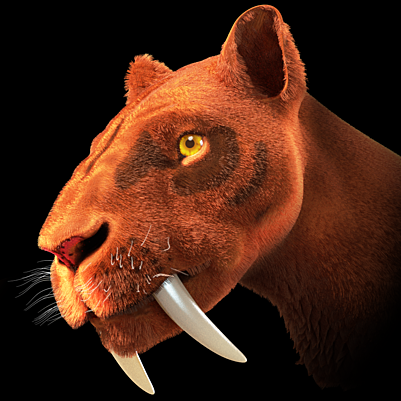 The Saber-Toothed Cat That Wasn't Really a Cat (image credits: wikimedia)