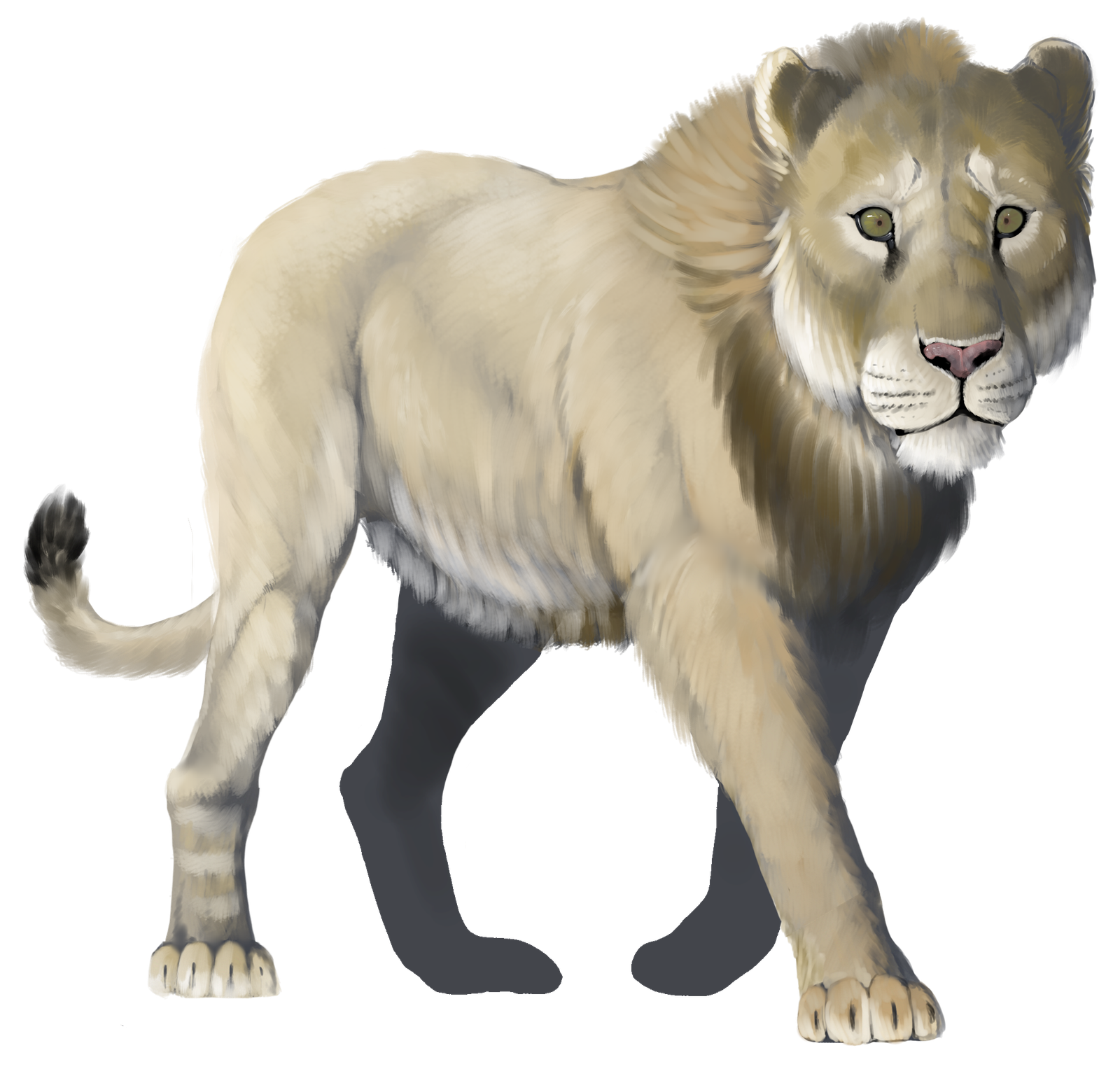 1. The First Big Cat Wanderers Emerge in Asia (image credits: wikimedia)
