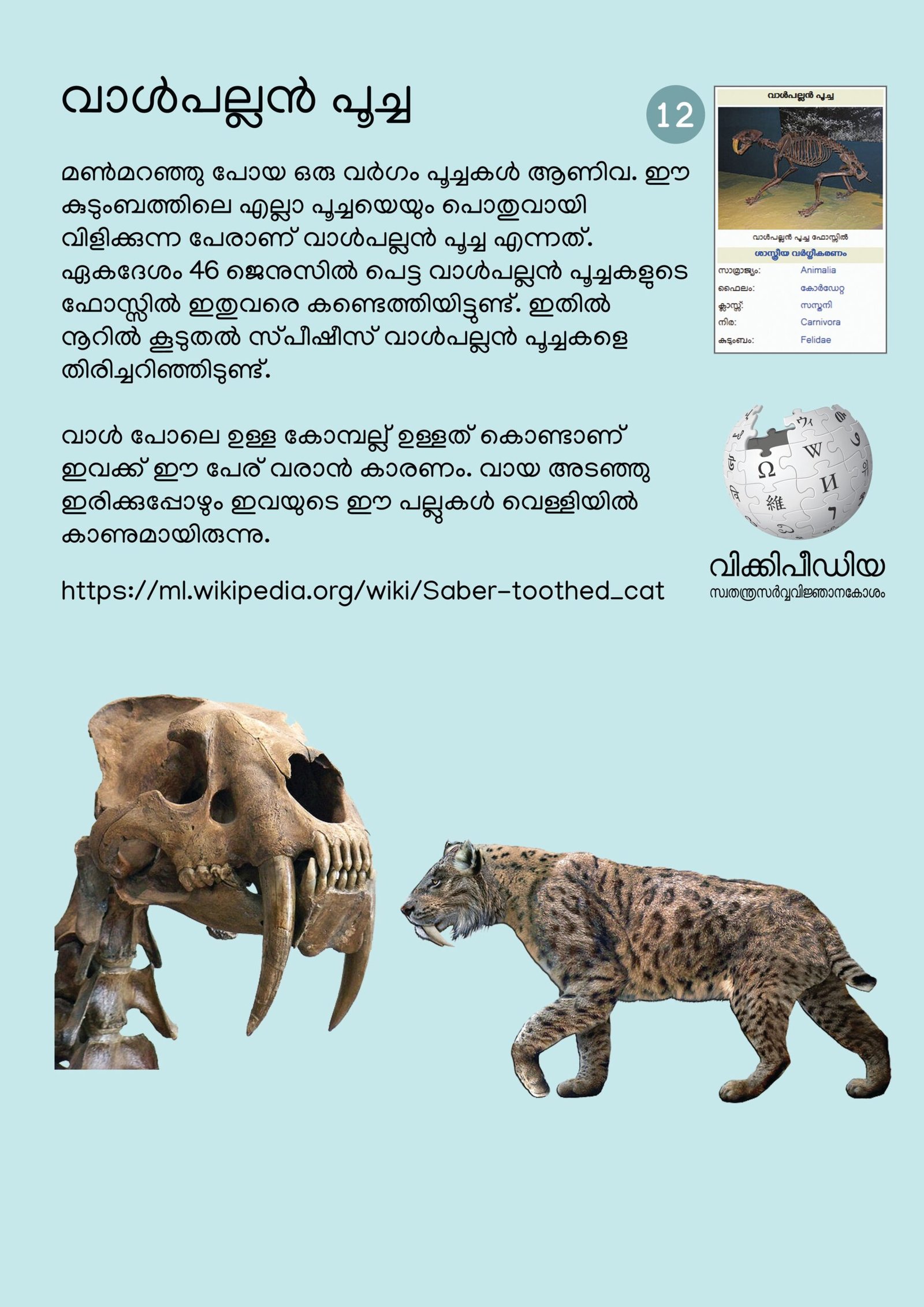 Conservation Lessons from the Past (image credits: wikimedia)