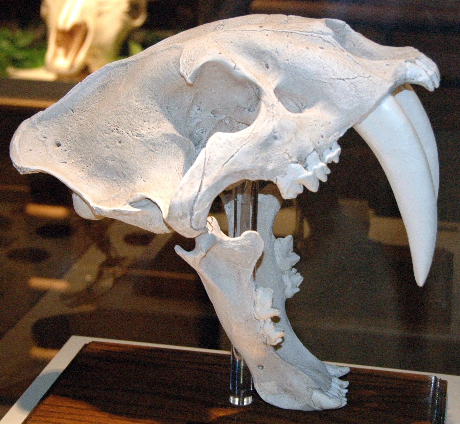 The Ice Age Hunters (image credits: wikimedia)