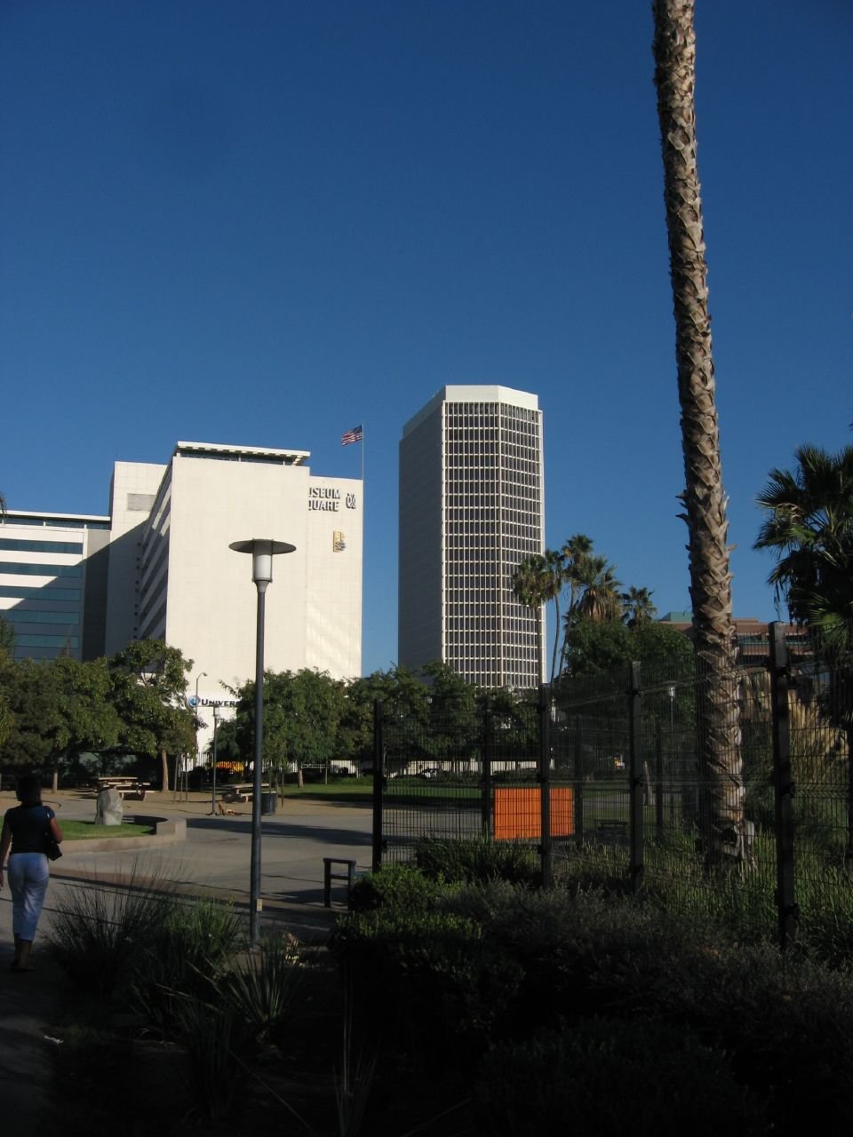 The Role of Tar Pits (image credits: wikimedia)
