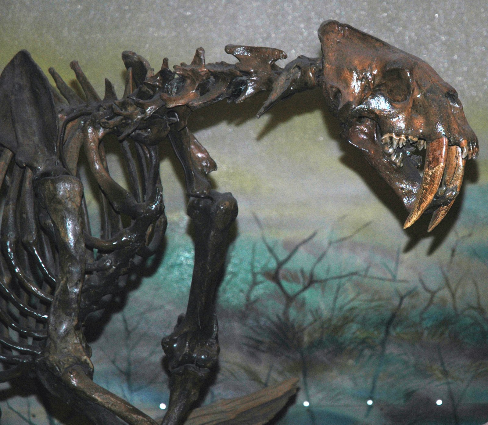 Struggles with Prey (image credits: wikimedia)