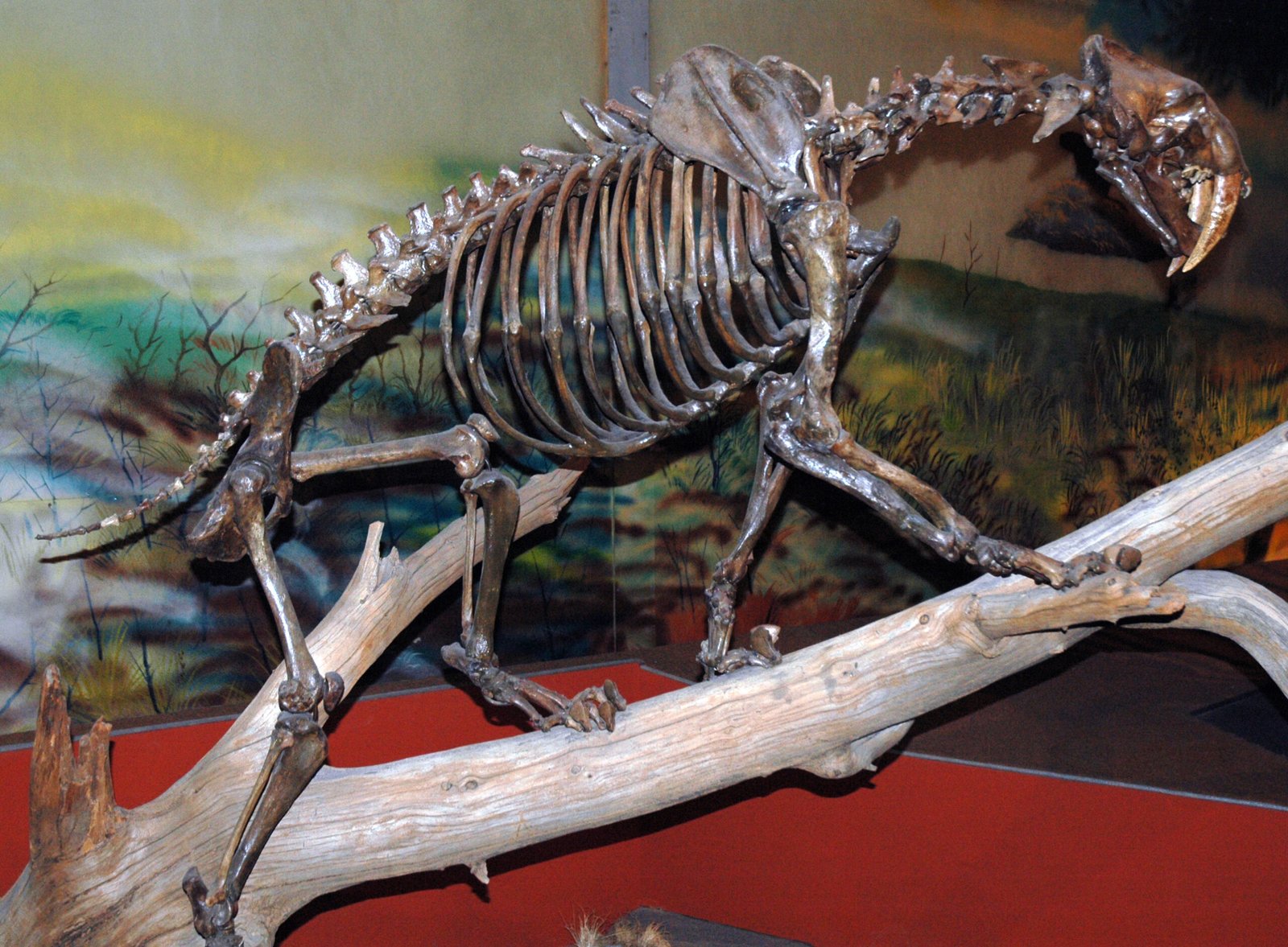Unsolved Mysteries (image credits: wikimedia)