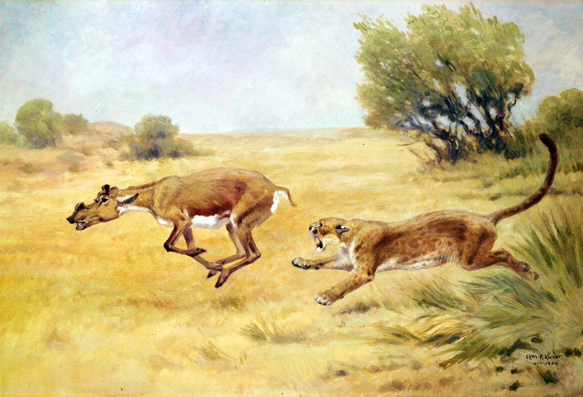 Prey of the Past (image credits: wikimedia)