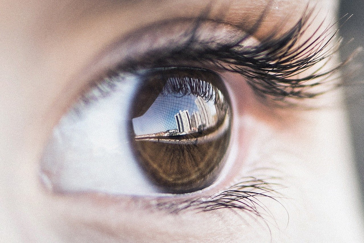 How Their Night Vision Compares to Technology (image credits: pixabay)