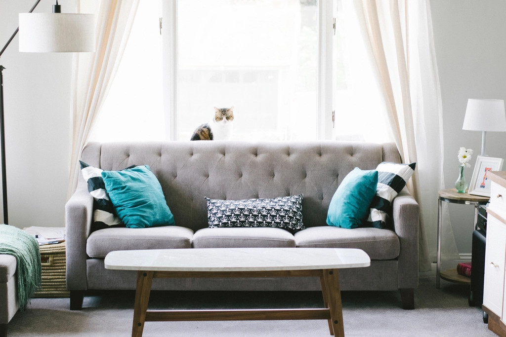 A Cat for Modern Living (image credits: rawpixel)