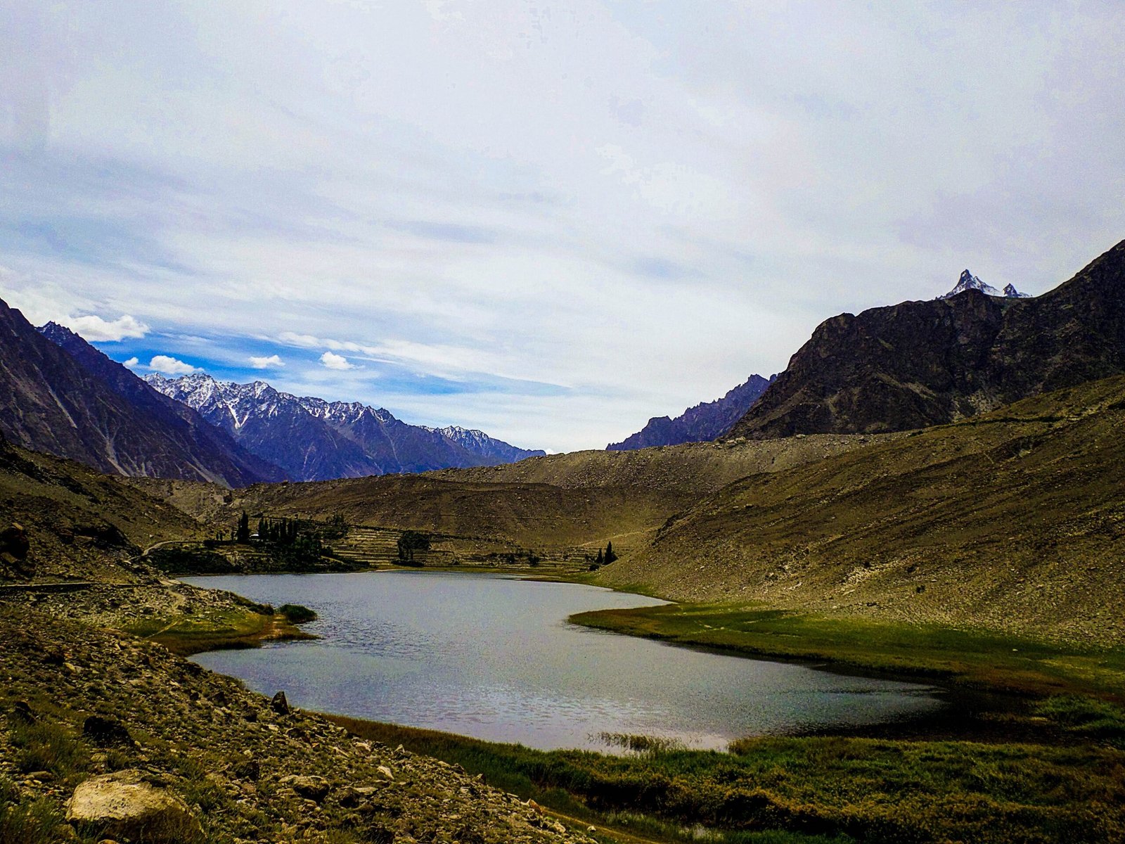 Snow Leopard: The High-Altitude Skull Snapper (image credits: wikimedia)