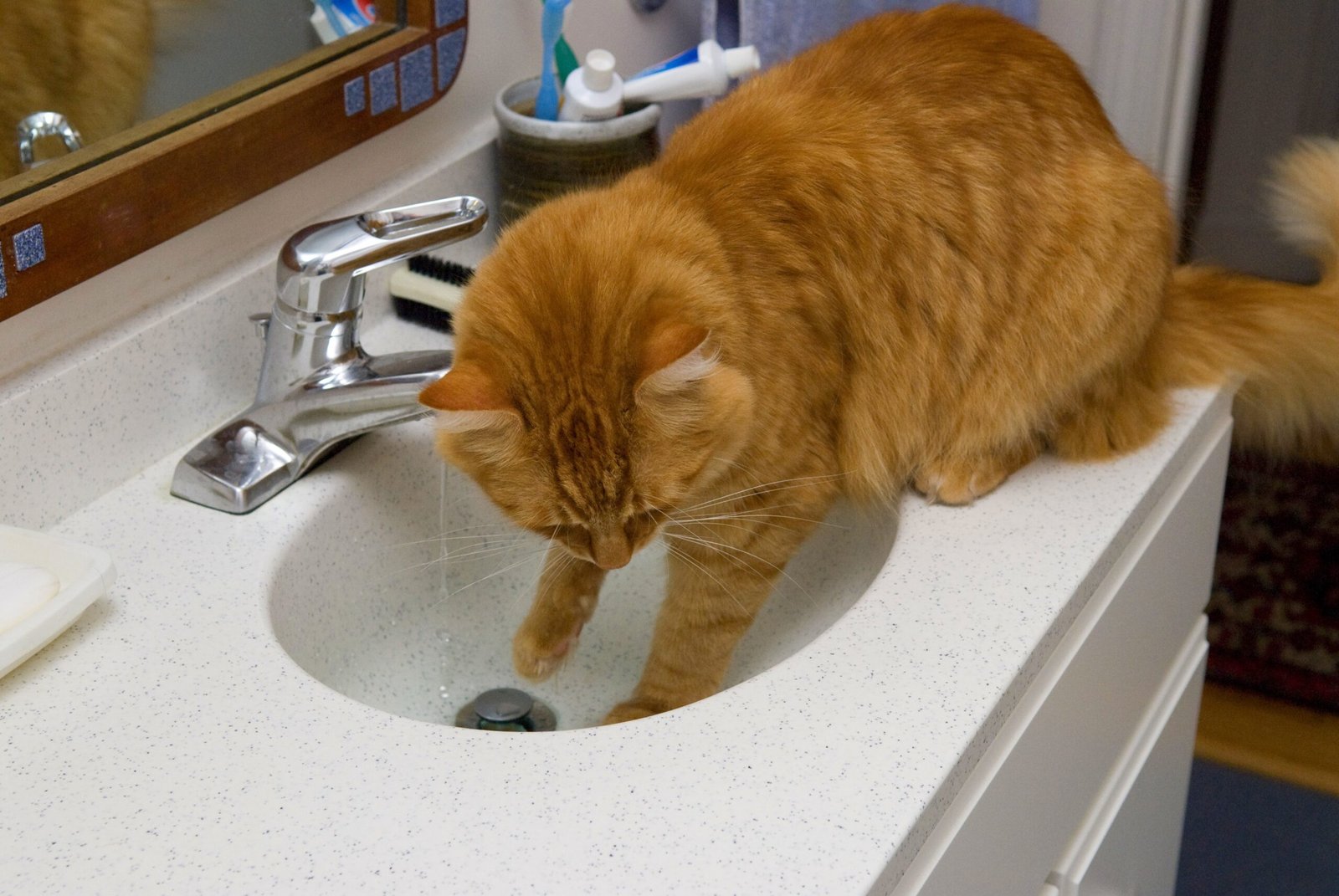 23. Water Bowl Bobbing: Fishing for Fun (image credits: wikimedia)