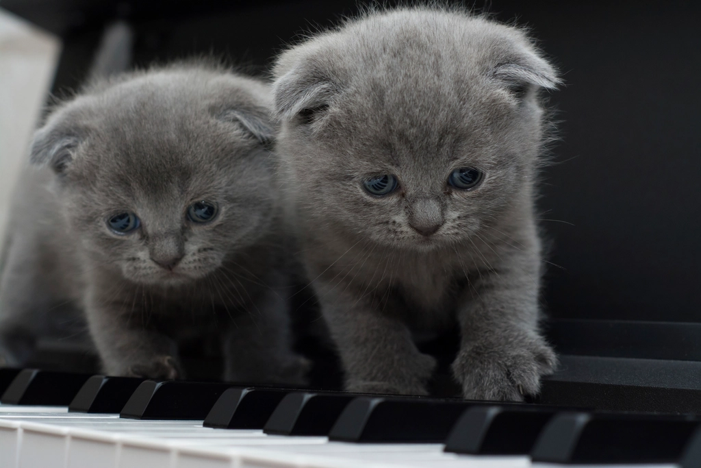 Russian Blue: Surviving Stalin's Purges and Cold War Chaos (image credits: rawpixel)