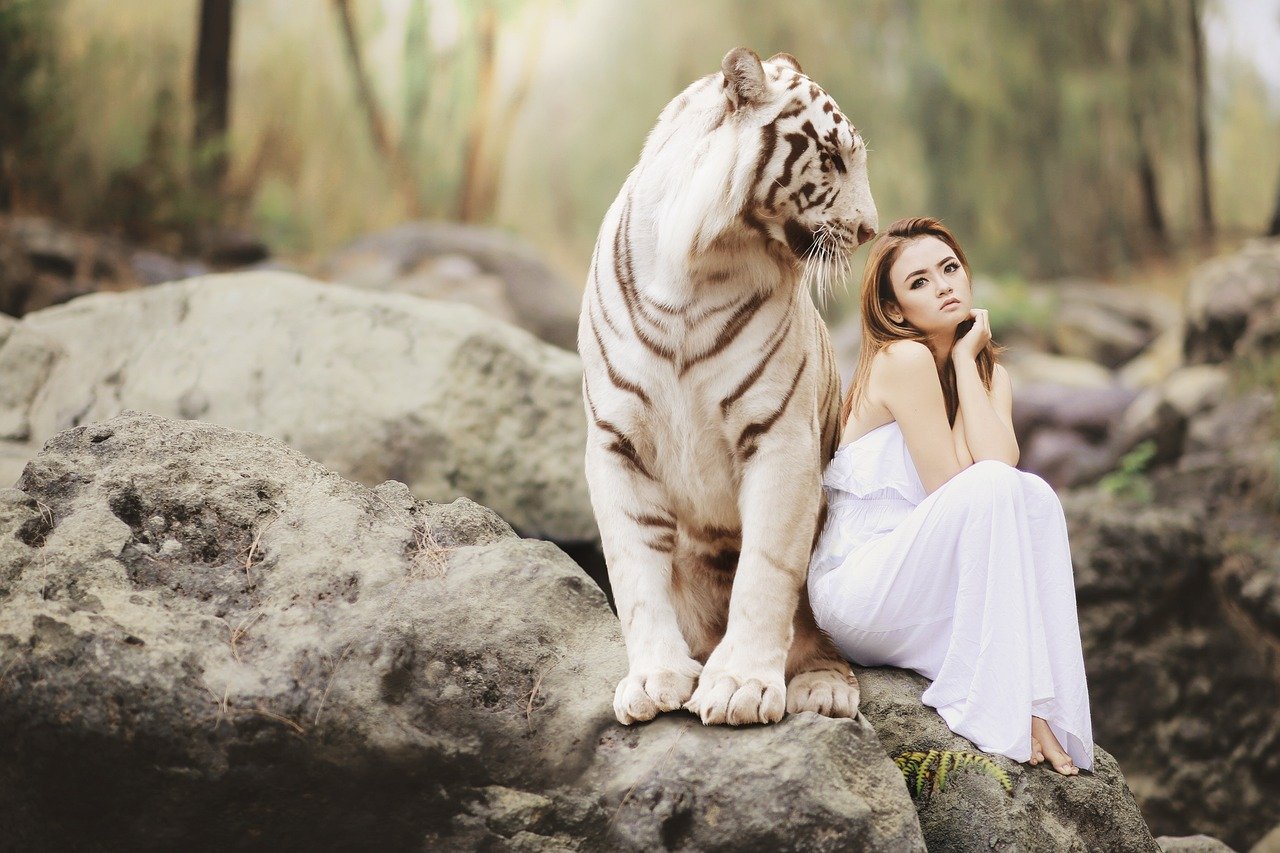 Breathing Control: Masters of Silent Respiration (image credits: pixabay)