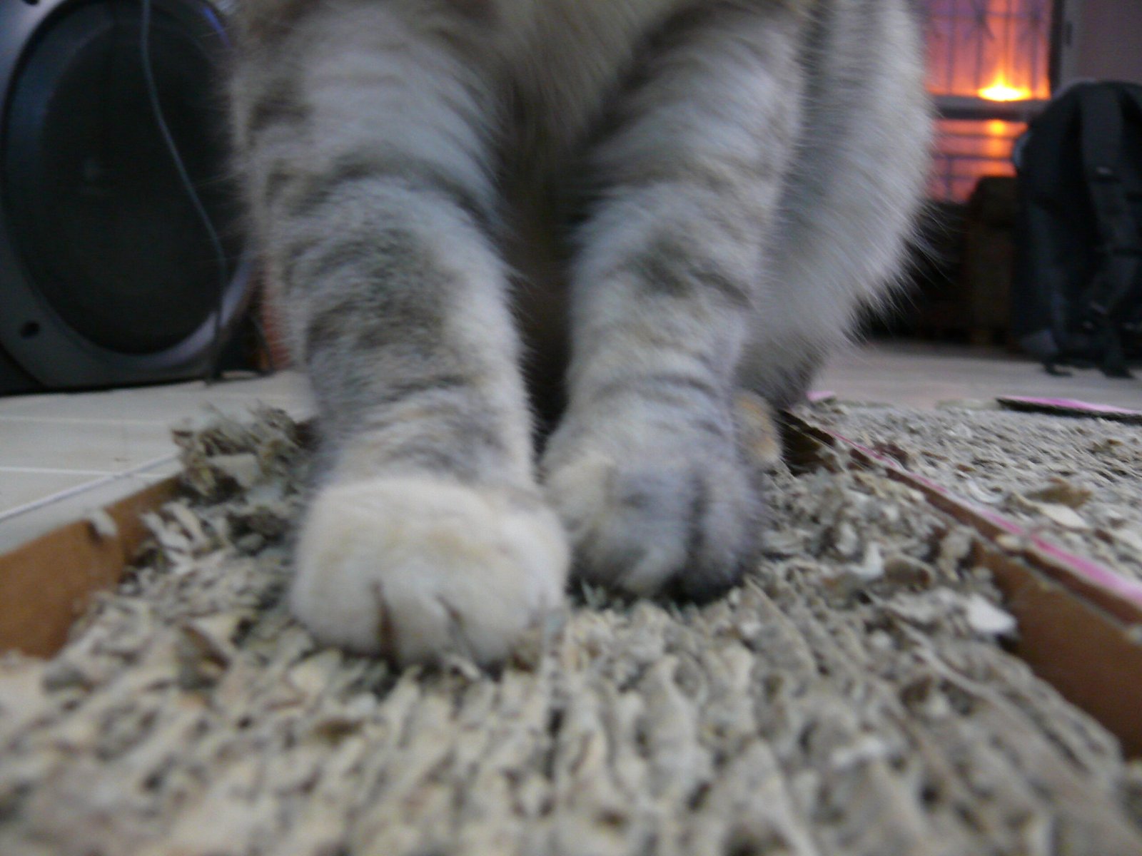 Scratch Pads: More Than Just Furniture Savers (image credits: wikimedia)