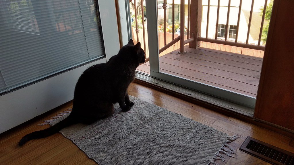 Use Window Screens to Allow Fresh Air and Natural Sounds (image credits: flickr)
