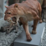 10 Ancient Felines That Didn't Roar — They Hissed