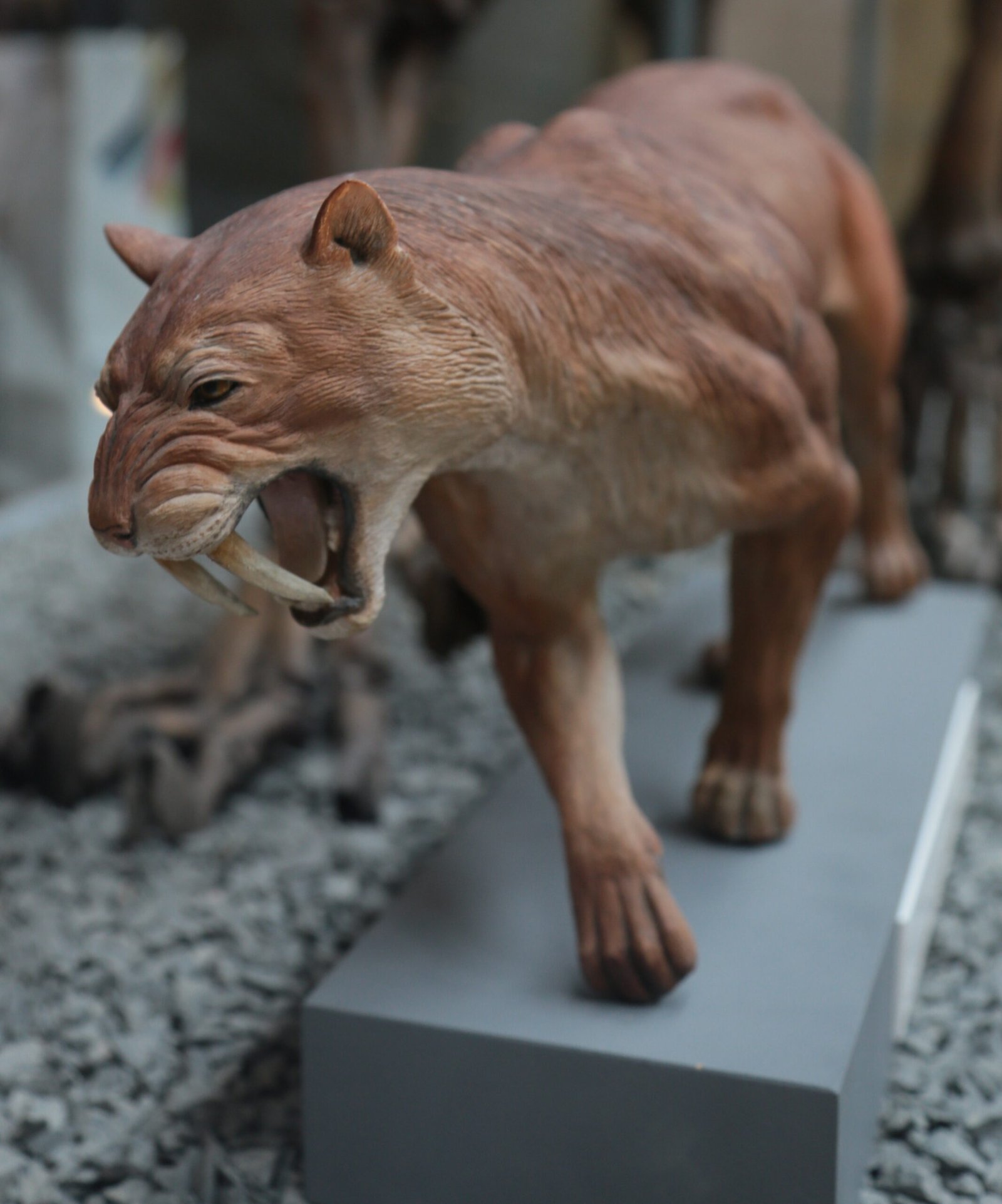 10 Ancient Felines That Didn't Roar — They Hissed