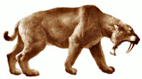 The Tragic Beauty of Extinction (image credits: wikimedia)