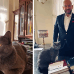 Cat Found Abandoned at Bus Station Becomes Poland's Official Government Assistant