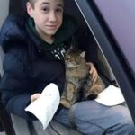 Brave 14-Year-Old Hero Saves Cat