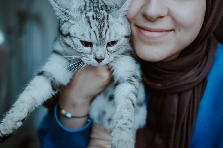 Smiling Woman Holding a British Shorthair Cat