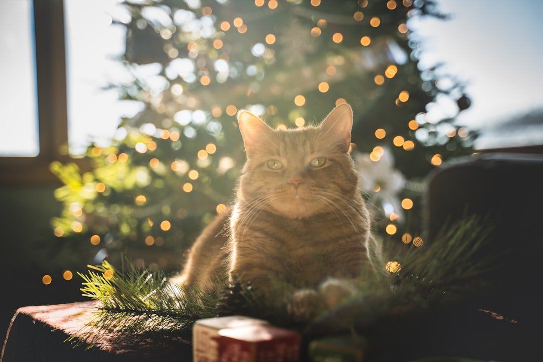 Leo: The Regal Egyptian Mau for Natural Royalty (image credits: unsplash)