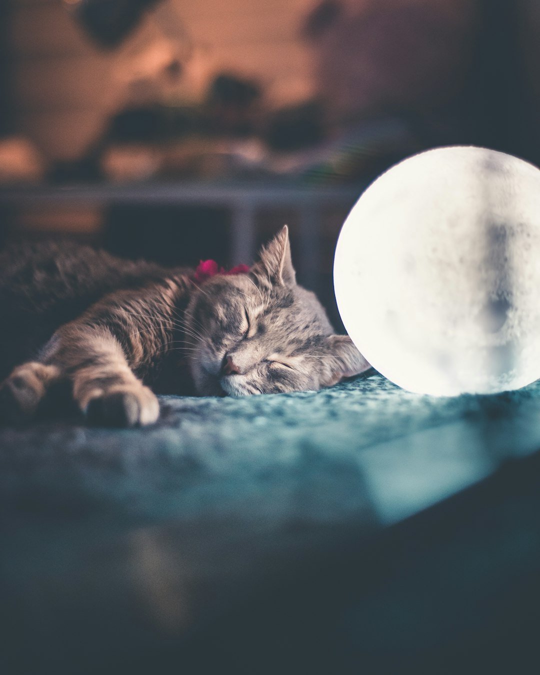 Conclusion (image credits: unsplash)