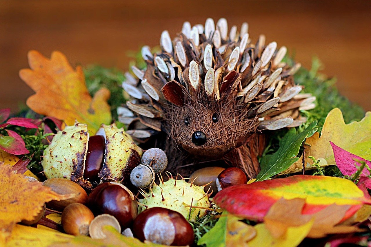 African Pygmy Hedgehogs - The Exotic Affection Seekers (image credits: pixabay)