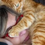 10 Emotional Things Cats Remember About Their Humans Forever