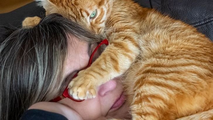 10 Emotional Things Cats Remember About Their Humans Forever
