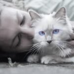 10 Signs of Jealousy in Cats That Actually Prove They Want All Your Love