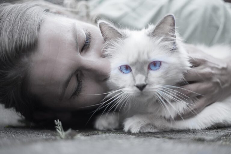 10 Signs of Jealousy in Cats That Actually Prove They Want All Your Love