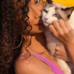 Does Your Cat Really Love You? Here Are 5 Clear Signs