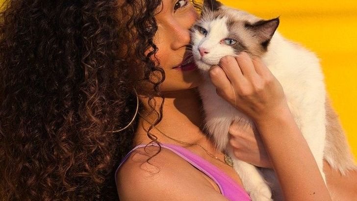 Does Your Cat Really Love You? Here Are 5 Clear Signs