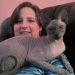The 12 Cat Breeds With the Most Loving Hearts