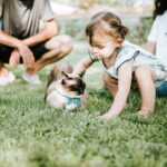8 Cat Breeds That Bond Well With Families