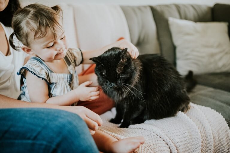 10 Cat Breeds Suitable For Families With Kids