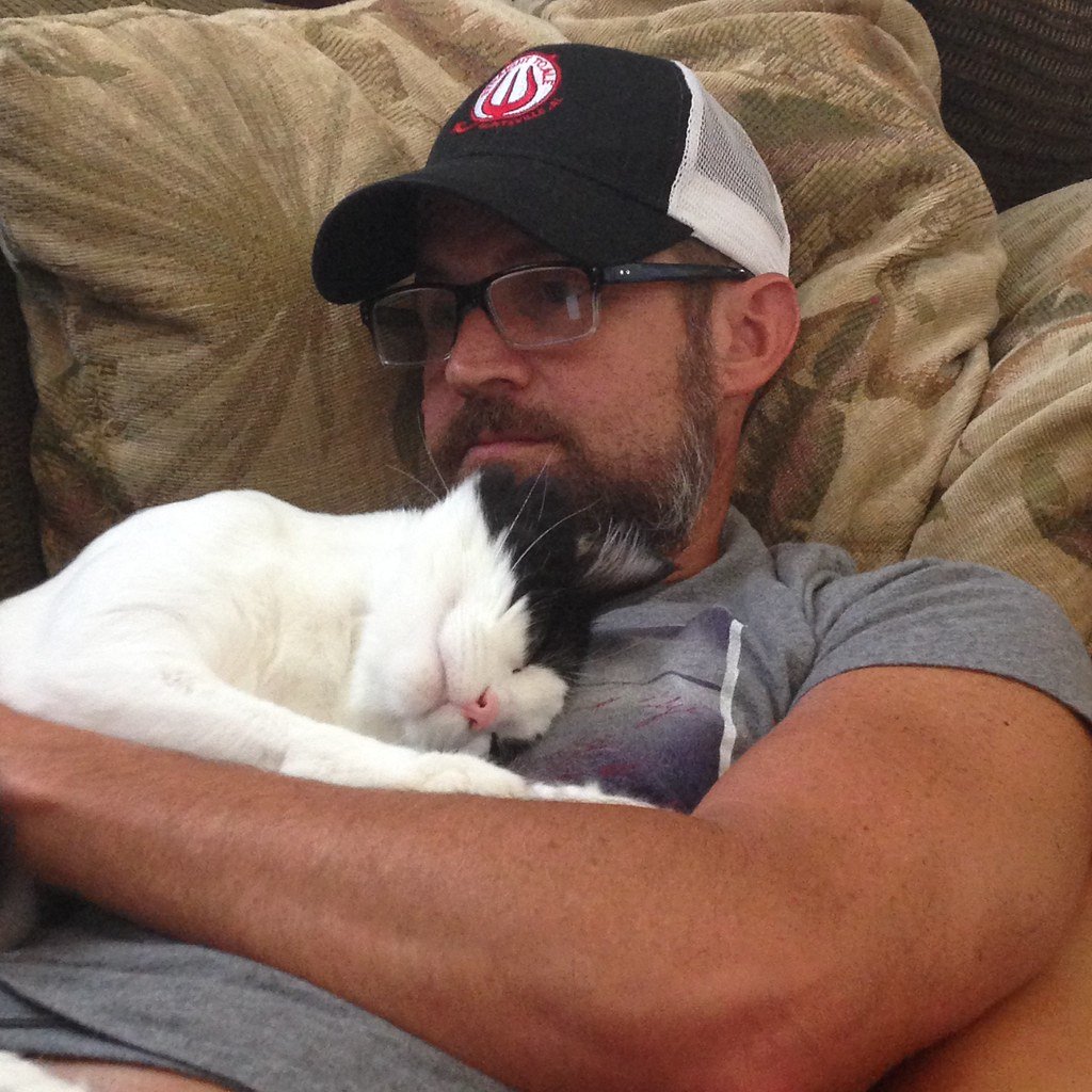 How Your Cat Says Good Bye When They Know Their End is Near