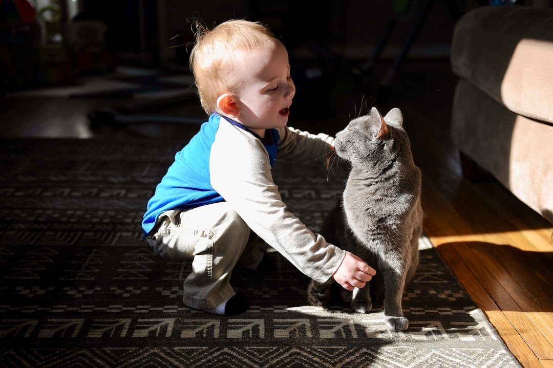 10 Cat Breeds That Handle Kids Like Pros