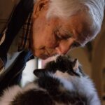 8 Cat Breeds Perfect for Seniors Living Alone