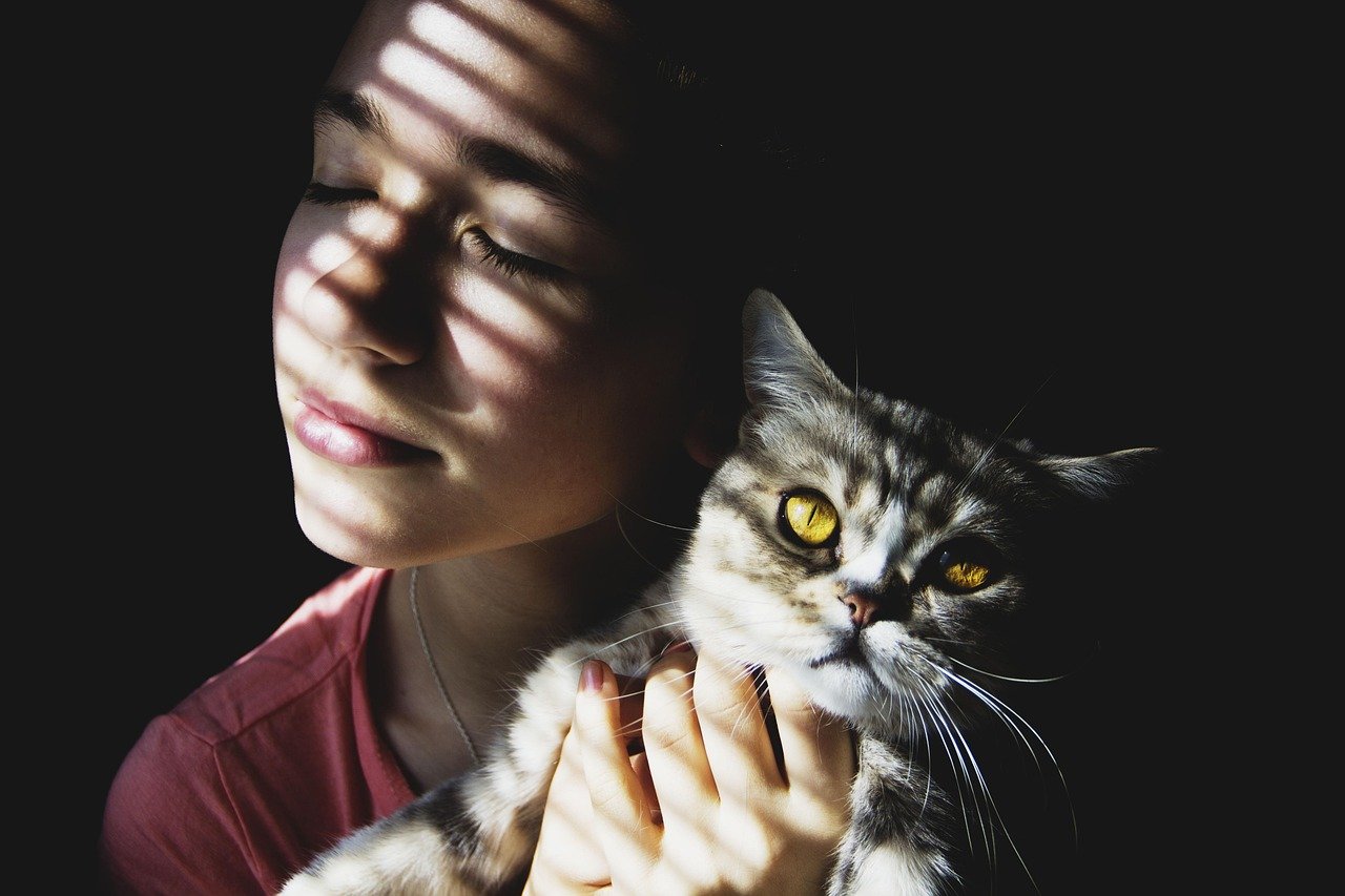 Which Zodiac Signs Cats Turn to for Comfort After Stress